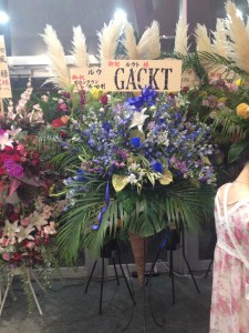 A stand with beautiful blue flowers, with a sign that reads GACKT and Root.